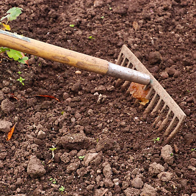 Fröhlich – Garten.Landschaft.Service Unsere Leistungen • Obstbaumpflege • Gartenpflege von Privatanlagen und Gewerbeflächen • Gartenplanung und Begleitung • Hecken-, Strauch- und Baumpflege/schnitt • Pflanzarbeiten, Anlage von (Stauden)beeten, Wiesen, Rasen... • Baumfällungen